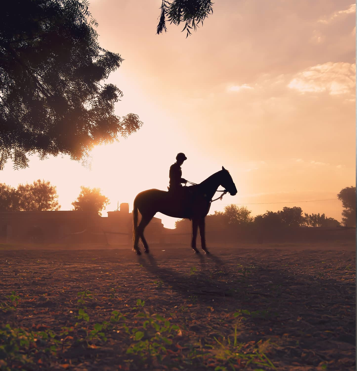Silhouette of a person riding a horse against a sunset sky.