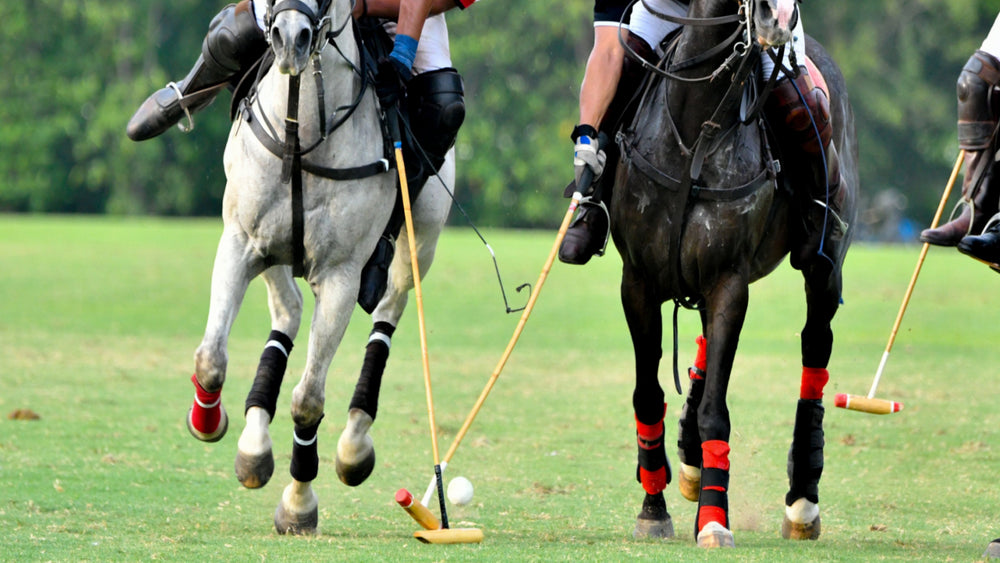 Close up picture of a polo match