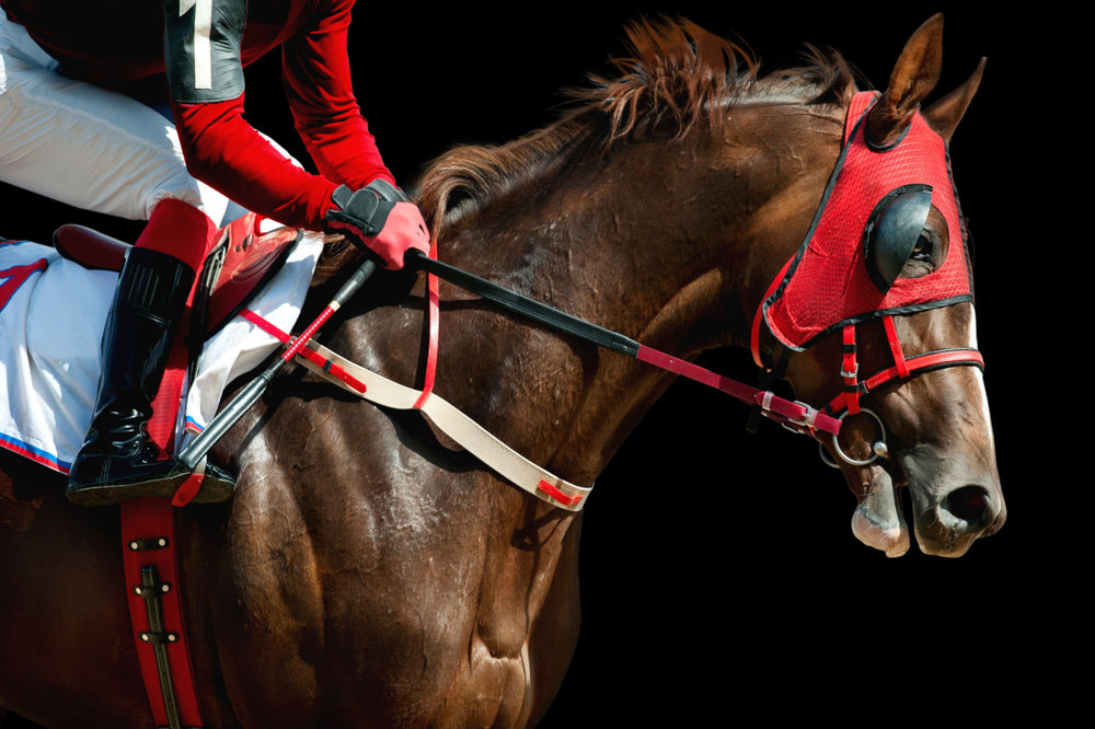 Picture of jockey on horse