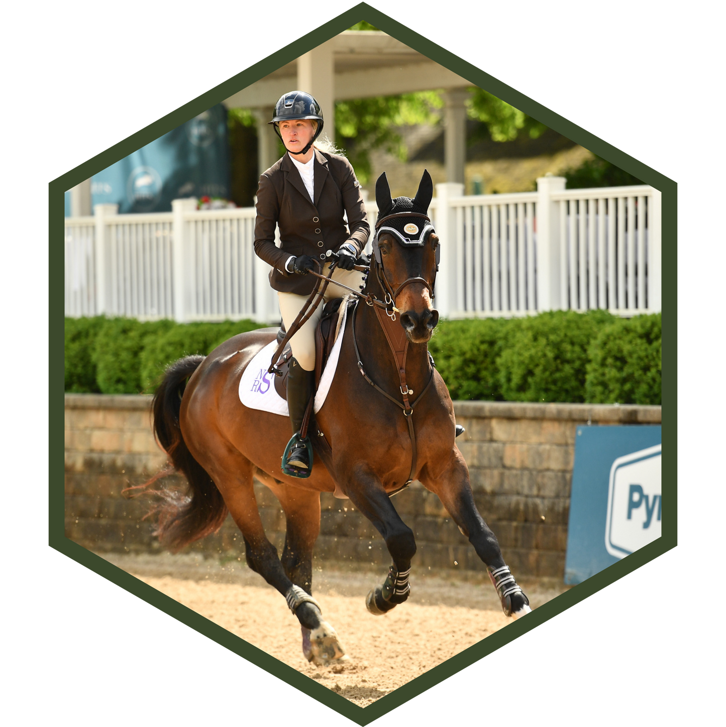 Photo of Nicole riding at a competition